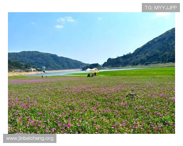 世外桃源娱乐为玩家打造梦幻般的休闲娱乐天堂,体验最丰富多彩的游戏与互动乐趣 世外桃源娱乐为玩家打造梦幻般的休闲娱乐天堂,体验最丰富多彩的游戏与互动乐趣